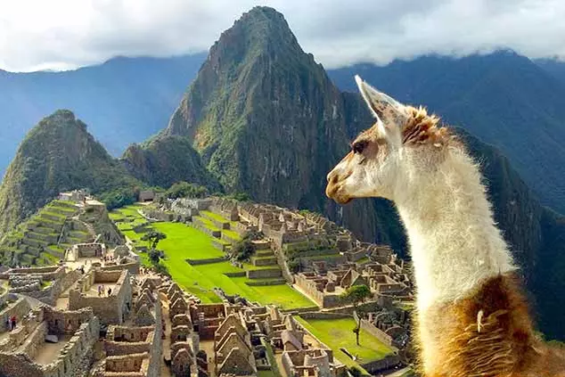 Peru experiences